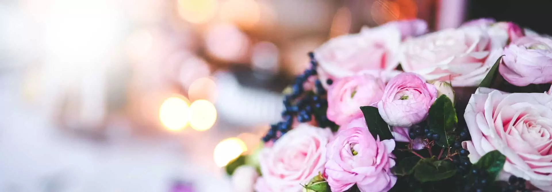 Banner Image 2